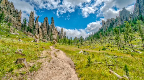 trails-in-black-hills-south-dakota