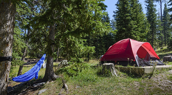 camping-in-the-woods