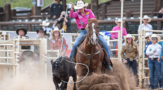 calf roping