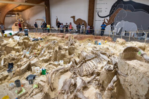 Mammoth Site