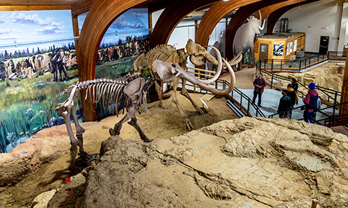 Mammoth Site