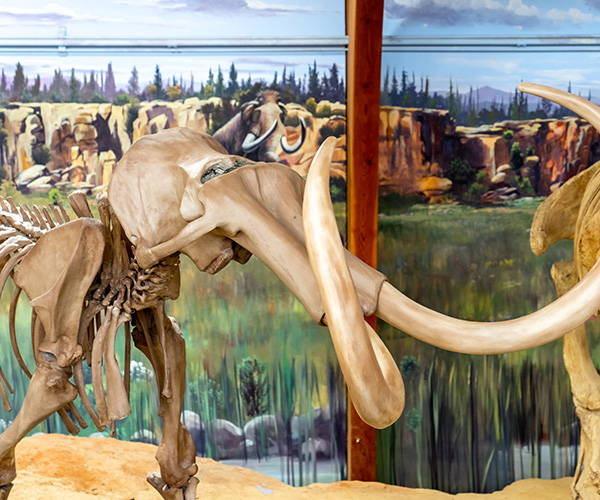 Mammoth Site